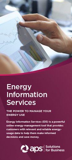 Energy Information Systems (EIS)