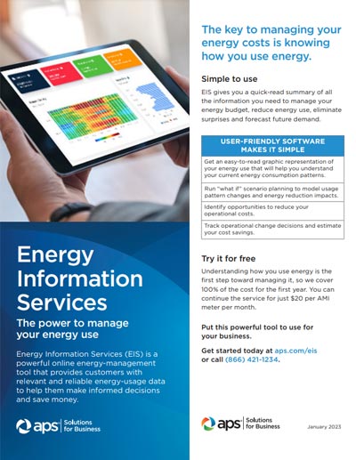 Energy Information Services